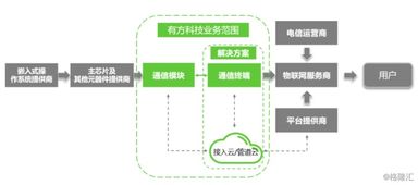 有方科技 物聯(lián)網(wǎng)技術(shù)研發(fā)的資本寵兒與潛在風(fēng)險